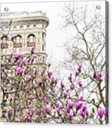 Flatiron Building In Spring #1 Acrylic Print