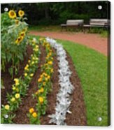 Flower Bed  #1 Acrylic Print