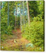 Forest Path #1 Acrylic Print