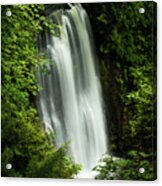 Forest Waterfall #1 Acrylic Print