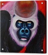 Gorilla #1 Acrylic Print