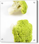 Green Cauliflower #1 Acrylic Print