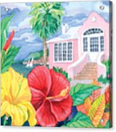 Hibiscus Cottage #1 Acrylic Print