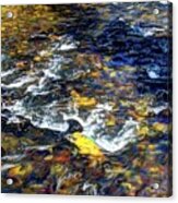Hyalite Creek #1 Acrylic Print