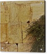 Kotel Sunshine Day #1 Acrylic Print