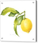 Lemon #1 Acrylic Print