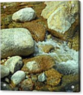 Life Of The Riverbed V2 Acrylic Print