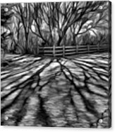 Long Shadows #1 Acrylic Print