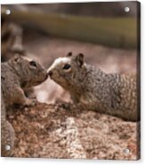 Love Is In The Air  #2 Acrylic Print