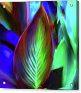 Love'ly Leaves #1 Acrylic Print