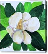 Magnolia Iii #1 Acrylic Print