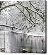 March Snow Along Cranberry River #1 Acrylic Print