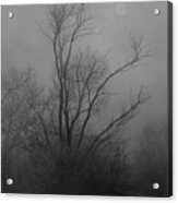Nebelbild 13 - Fog Image 13 Acrylic Print