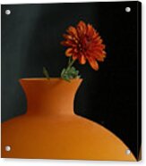 Orange #1 Acrylic Print