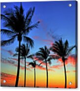 Palm Tree Skies Acrylic Print