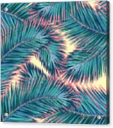 Exotic Summer tropical plant Acrylic Print