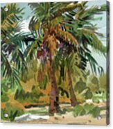 Palms In Key West #1 Acrylic Print