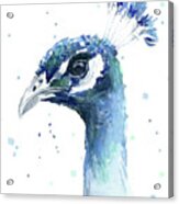 Peacock Watercolor #1 Acrylic Print