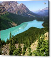 Peyto Lake #1 Acrylic Print