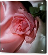 Pink Rose On The Silk Acrylic Print