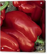 Red Bell Peppers #1 Acrylic Print