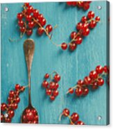 Red Currant #1 Acrylic Print