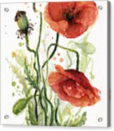 Red Poppies Watercolor Acrylic Print