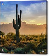 Saguaro Sunrise In The Superstitions  #2 Acrylic Print