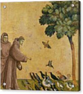 Saint Francis Of Assisi Preaching To The Birds Acrylic Print