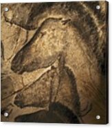 Stone-age Cave Paintings, Chauvet, France Acrylic Print