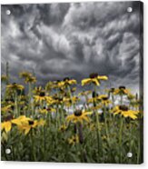 Summer Storm #1 Acrylic Print