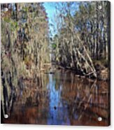 Swampy Creek #2 Acrylic Print