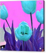 Tantalizing Tulips #1 Acrylic Print