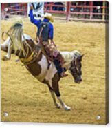 The Bucking Horse #1 Acrylic Print