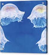 The Jellyfish Nursery #1 Acrylic Print