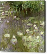 Waterlilies At Midday Acrylic Print