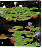 Waterlilies 6 Acrylic Print