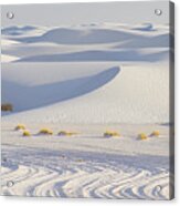 White Sands New Mexico #1 Acrylic Print