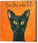 You Did What? #1 Acrylic Print