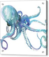 Octopus #10 Acrylic Print