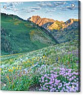 Wasatch Mountains Utah #11 Acrylic Print