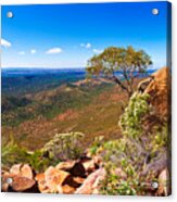 Wilpena Pound  #11 Acrylic Print