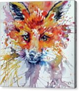 Red Fox #13 Acrylic Print