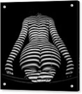 1249-mak Zebra Woman Rear View Striped Sexy Nude Acrylic Print