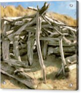 Driftwood Shelter Acrylic Print