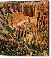 Bryce Canyon Utah #16 Acrylic Print