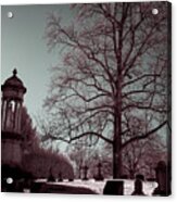 Infrared #160 Acrylic Print