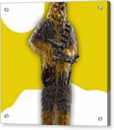 Star Wars Chewbacca Collection #18 Acrylic Print
