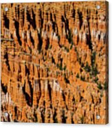 Bryce Canyon Utah #19 Acrylic Print