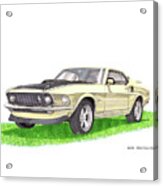 1969 Mustang Fastback Acrylic Print